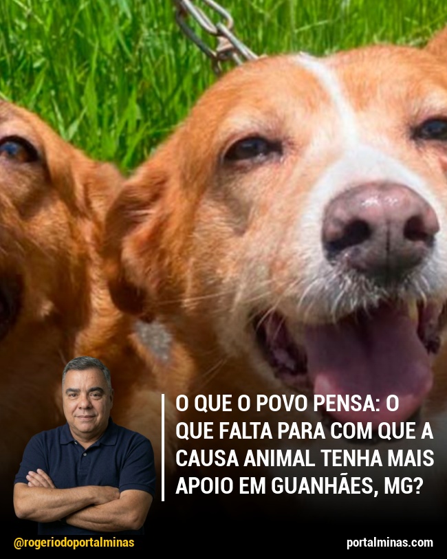 O que o Povo Pensa: O que falta para com que a Causa Animal Tenha Mais Apoio em Guanhães, MG?