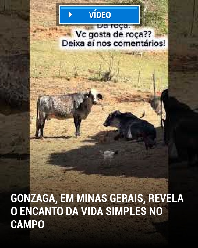 Gonzaga, em Minas Gerais, Revela o Encanto da Vida Simples no Campo