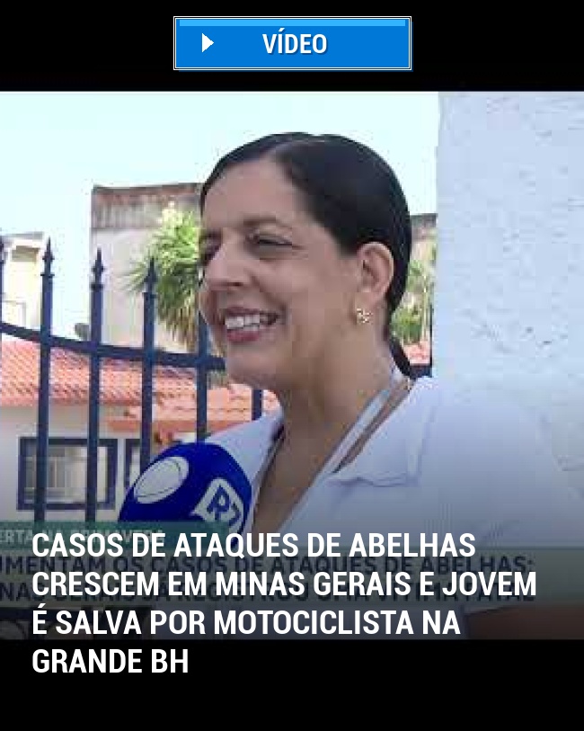 Casos de Ataques de Abelhas Crescem em Minas Gerais e Jovem é Salva por Motociclista na Grande BH