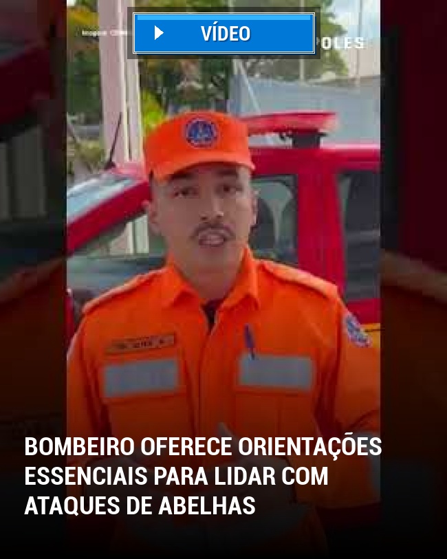 Bombeiro Oferece Orientações Essenciais para Lidar com Ataques de Abelhas