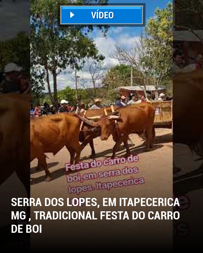 Serra dos Lopes, em Itapecerica MG , tradicional Festa do Carro de Boi