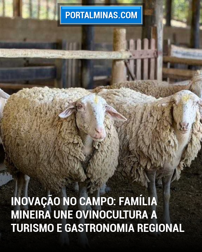 Inovação no Campo: Família Mineira Une Ovinocultura a Turismo e Gastronomia Regional