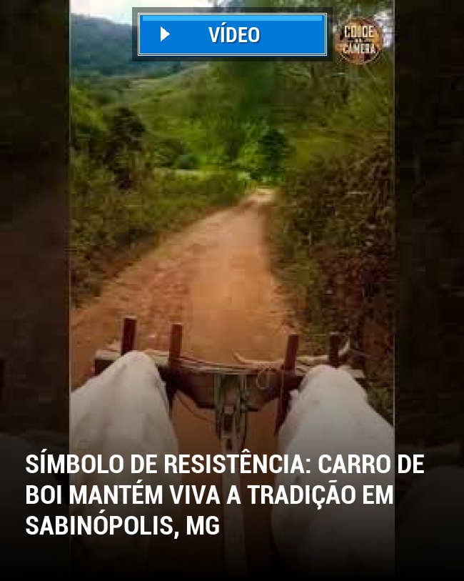 Símbolo de Resistência: Carro de Boi Mantém Viva a Tradição em Sabinópolis, MG