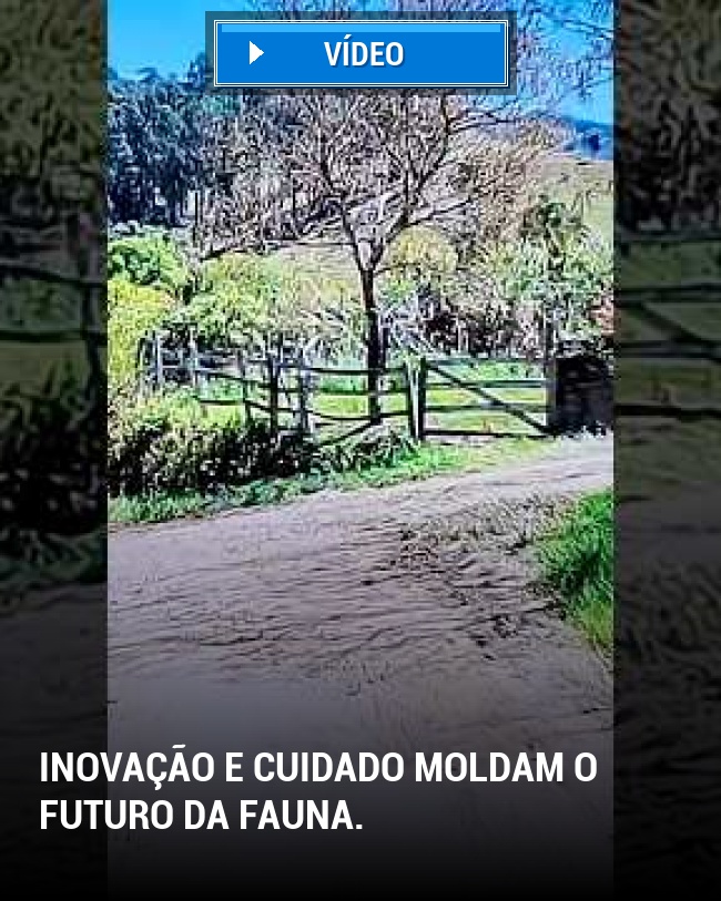 Inovação e cuidado moldam o futuro da fauna.