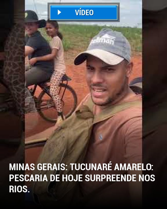 Minas Gerais: Tucunaré amarelo: pescaria de hoje surpreende nos rios.