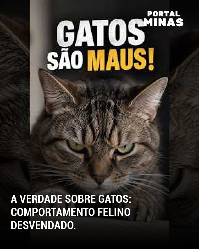 A verdade sobre gatos: Comportamento felino desvendado.