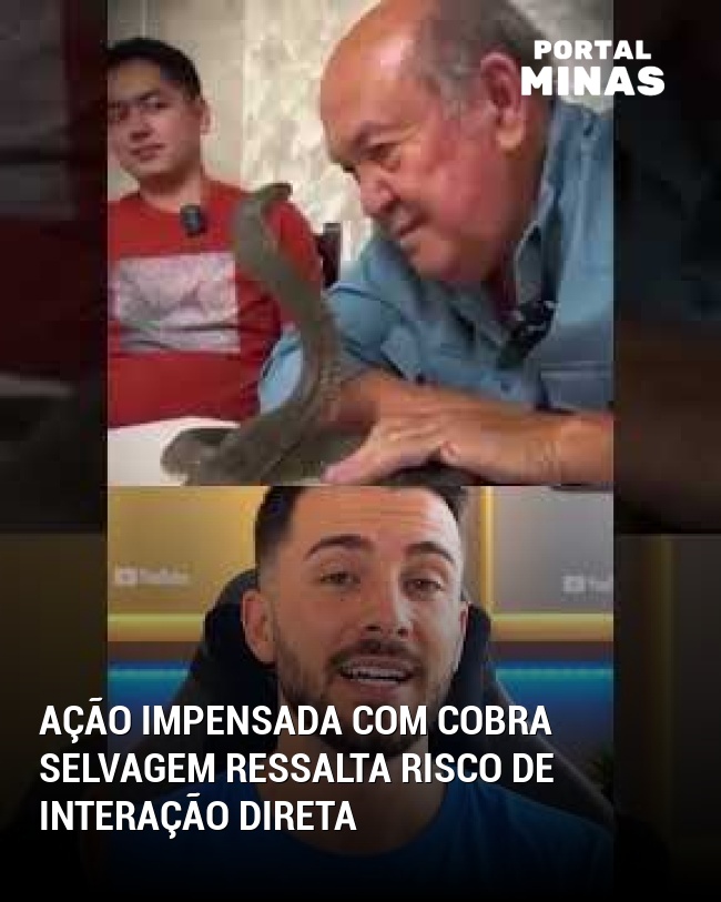 Ação Impensada Com Cobra Selvagem Ressalta Risco de Interação Direta
