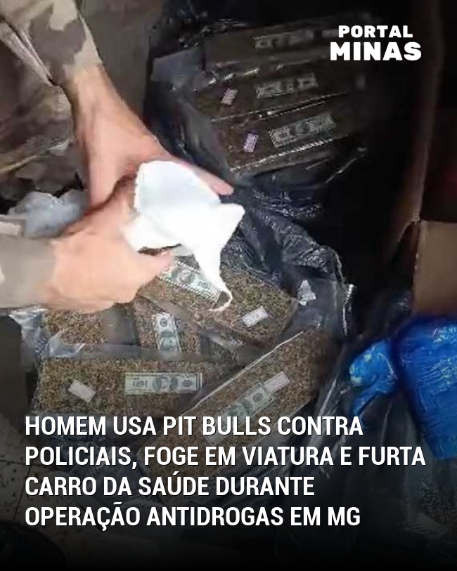 Homem Usa Pit Bulls Contra Policiais, Foge em Viatura e Furta Carro da Saúde Durante Operação Antidrogas em MG