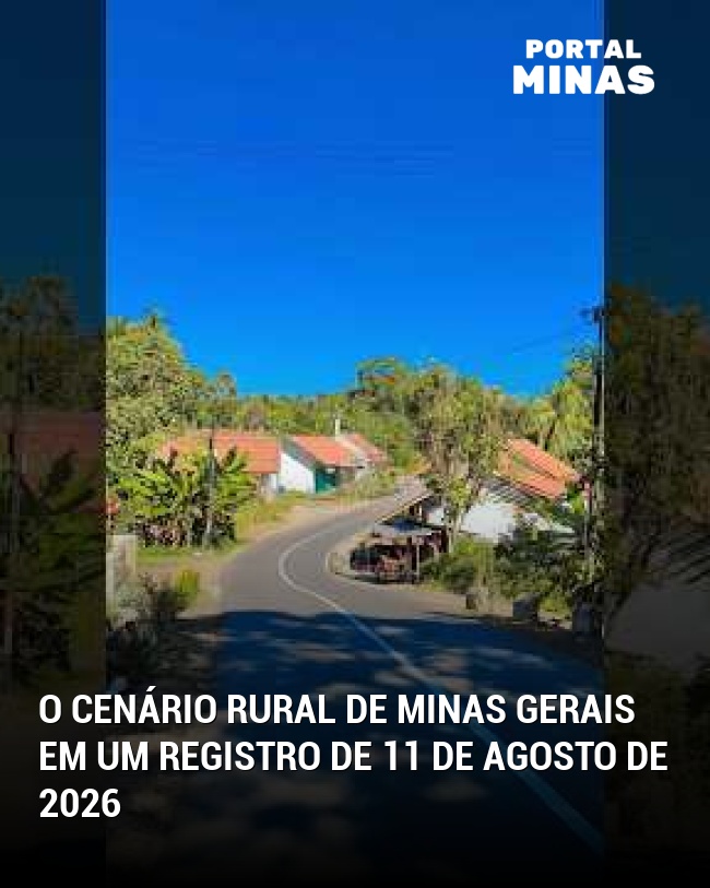 O Cenário Rural de Minas Gerais em um Registro de 11 de Agosto de 2026