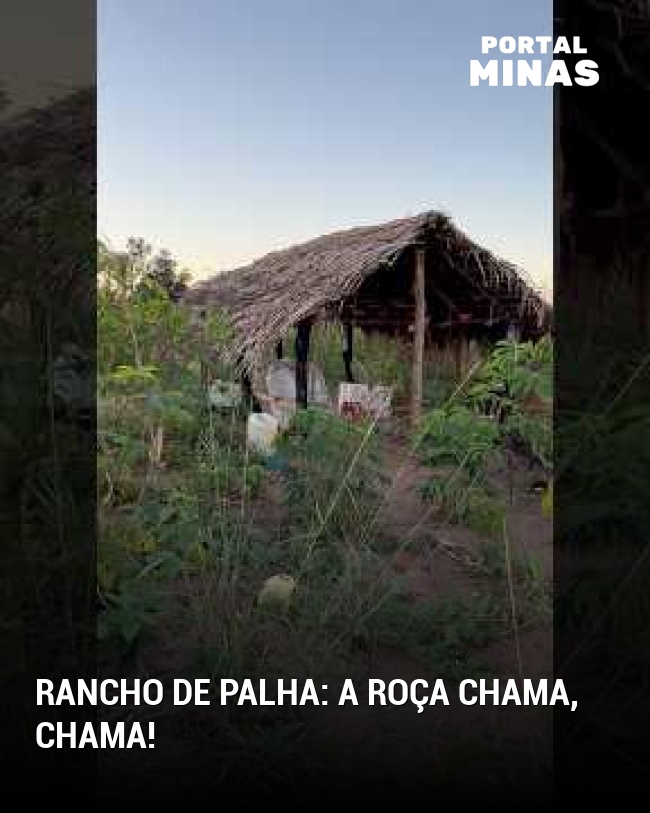 Rancho de palha: a roça chama, chama!
