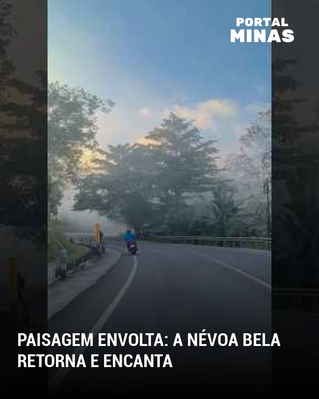 paisagem envolta: a névoa bela retorna e encanta
