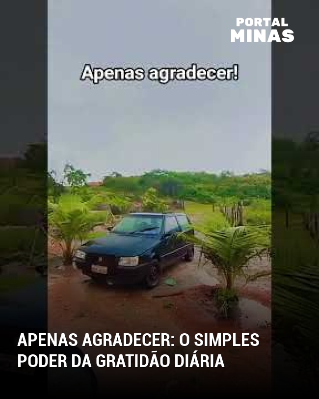 Apenas agradecer: o simples poder da gratidão diária