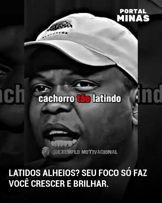 Latidos alheios? Seu foco só faz você crescer e brilhar.