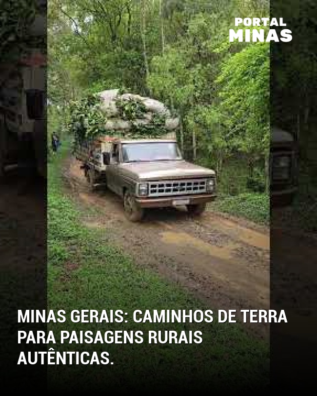 Minas Gerais: caminhos de terra para paisagens rurais autênticas.