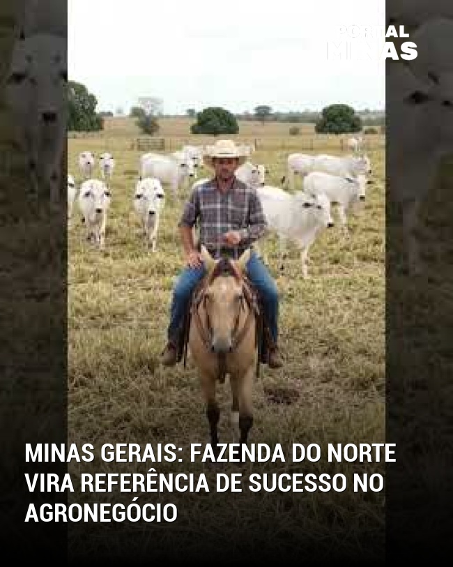 Minas Gerais: Fazenda do norte vira referência de sucesso no agronegócio
