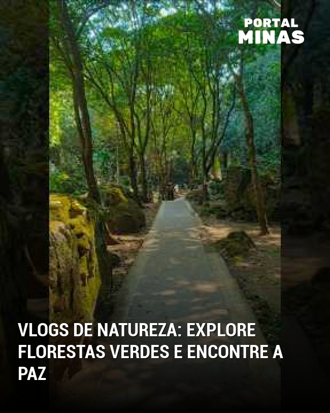 Vlogs de natureza: explore florestas verdes e encontre a paz