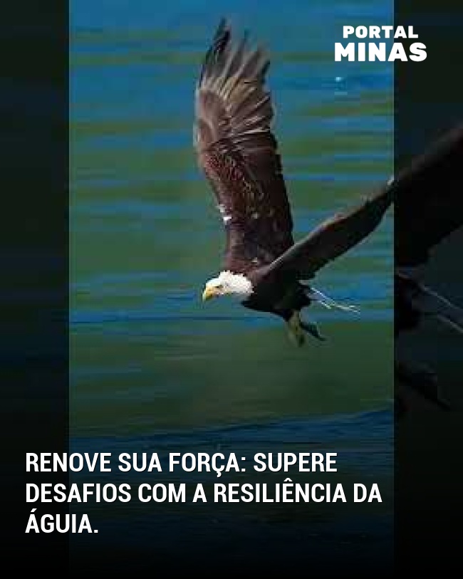 Renove sua força: supere desafios com a resiliência da águia.