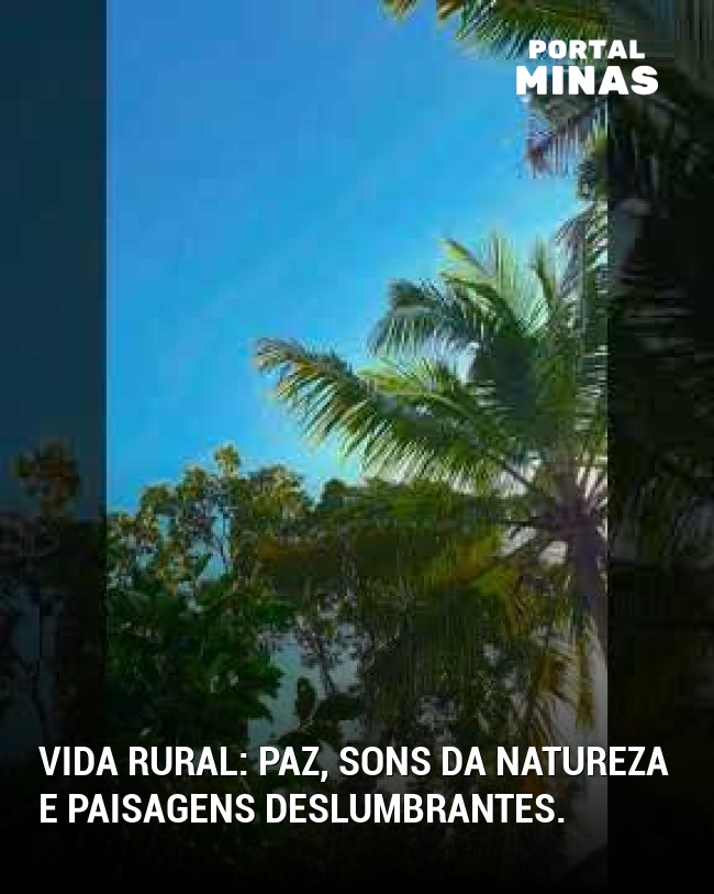 Vida rural: Paz, sons da natureza e paisagens deslumbrantes.