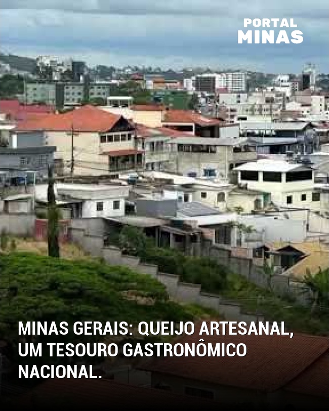 Minas Gerais: Queijo artesanal, um tesouro gastronômico nacional.