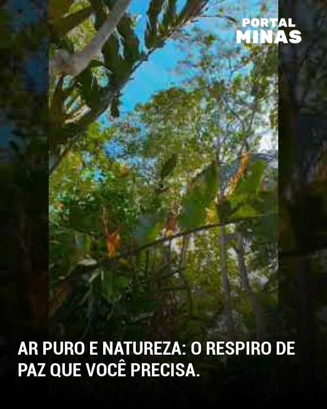 Ar puro e natureza: o respiro de paz que você precisa.