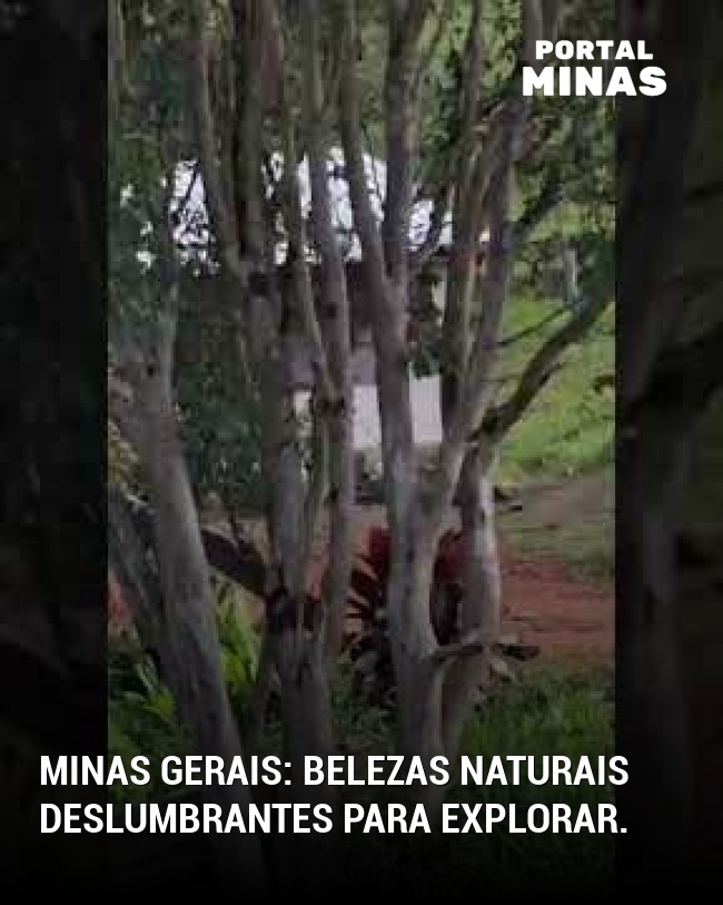 Minas Gerais: belezas naturais deslumbrantes para explorar.