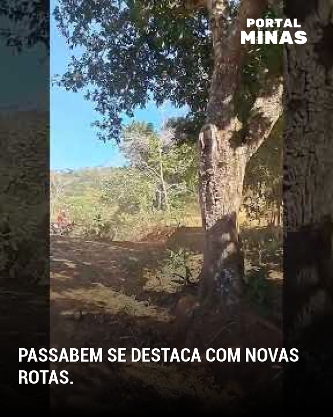 Passabem se destaca com novas rotas.