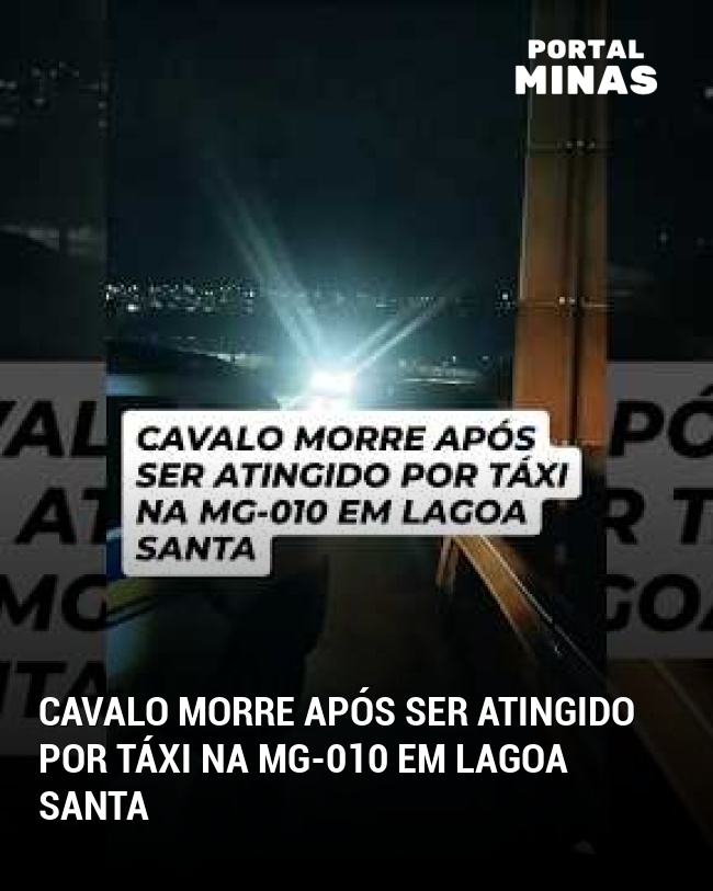 Cavalo Morre Após Ser Atingido por Táxi na MG-010 em Lagoa Santa