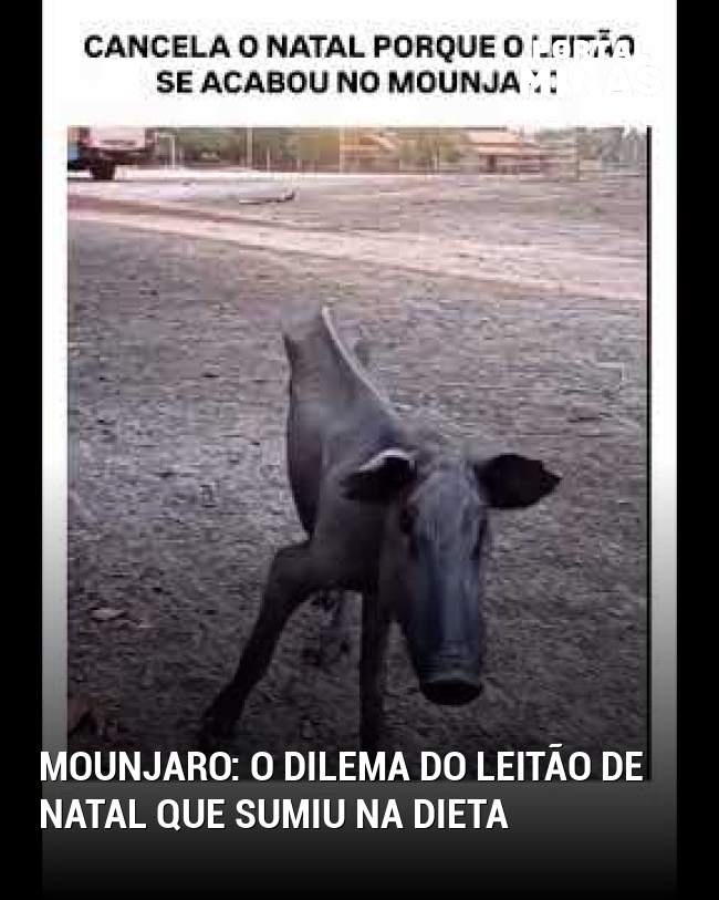 Mounjaro: O dilema do leitão de Natal que sumiu na dieta