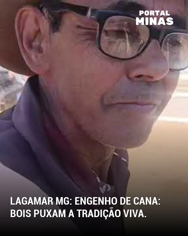 Lagamar MG: Engenho de cana: Bois puxam a tradição viva.