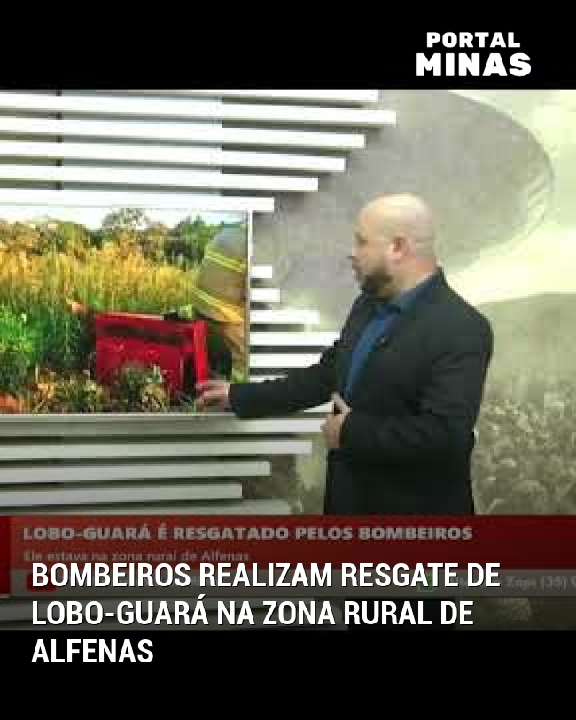Bombeiros Realizam Resgate de Lobo-Guará na Zona Rural de Alfenas