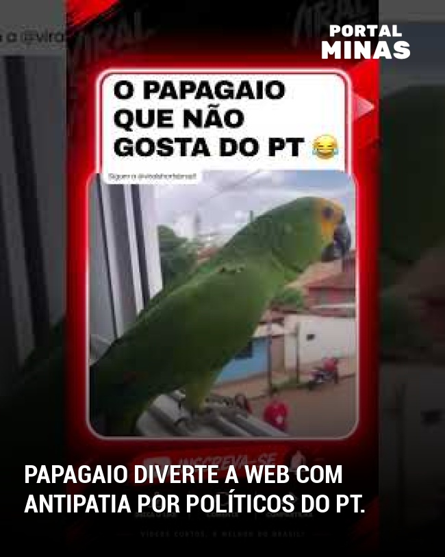 Papagaio diverte a web com antipatia por políticos do PT.