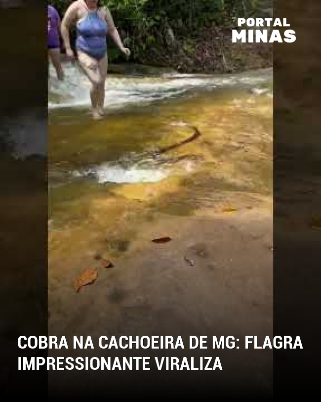 Cobra na cachoeira de MG: flagra impressionante viraliza
