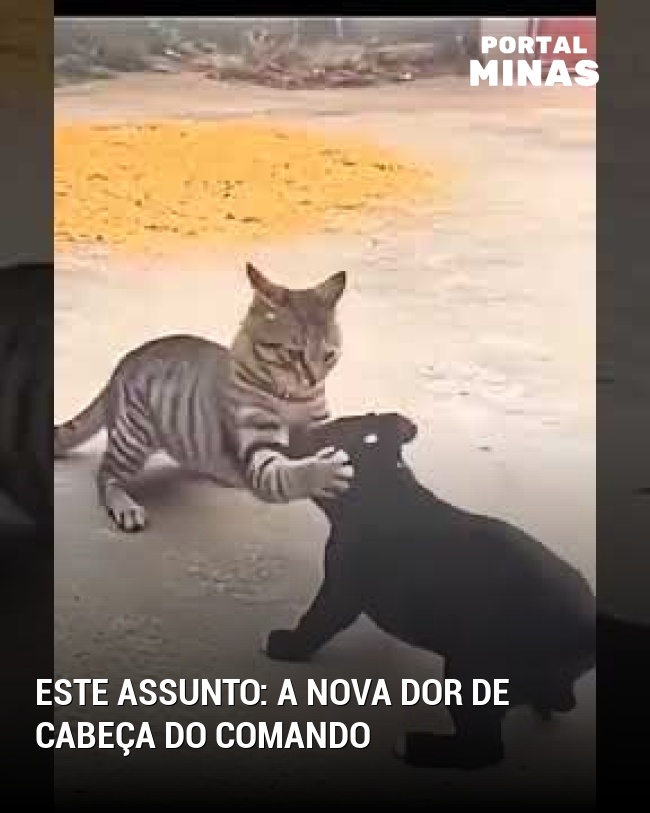 Este assunto: a nova dor de cabeça do comando