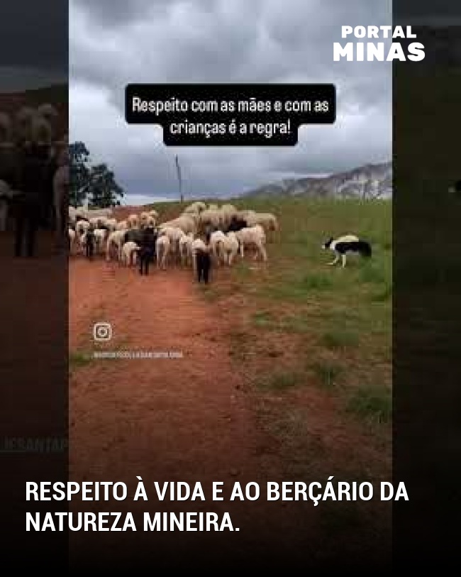 Respeito à vida e ao berçário da natureza mineira.