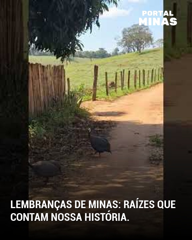 Lembranças de Minas: raízes que contam nossa história.