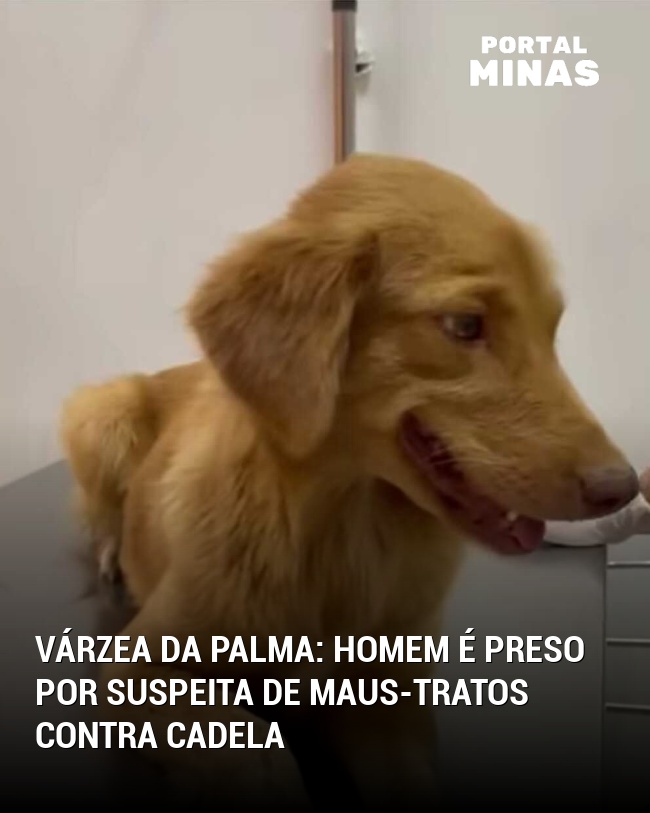 Várzea da Palma: Homem é Preso por Suspeita de Maus-Tratos Contra Cadela