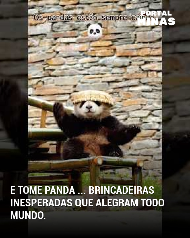 E tome Panda ... Brincadeiras inesperadas que alegram todo mundo.