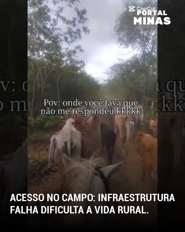 Acesso no campo: Infraestrutura falha dificulta a vida rural.