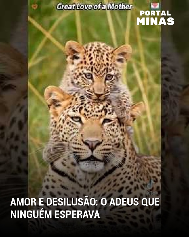 Amor e desilusão: o adeus que ninguém esperava