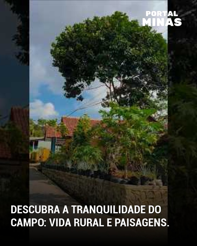 Descubra a tranquilidade do campo: vida rural e paisagens.