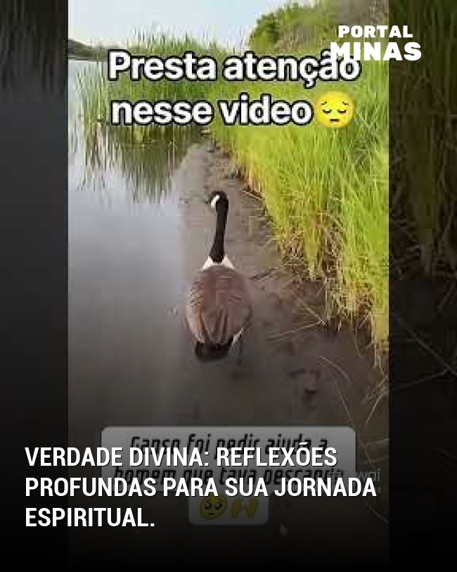 Verdade divina: reflexões profundas para sua jornada espiritual.