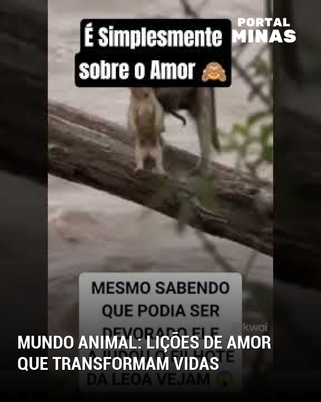 Mundo animal: lições de amor que transformam vidas