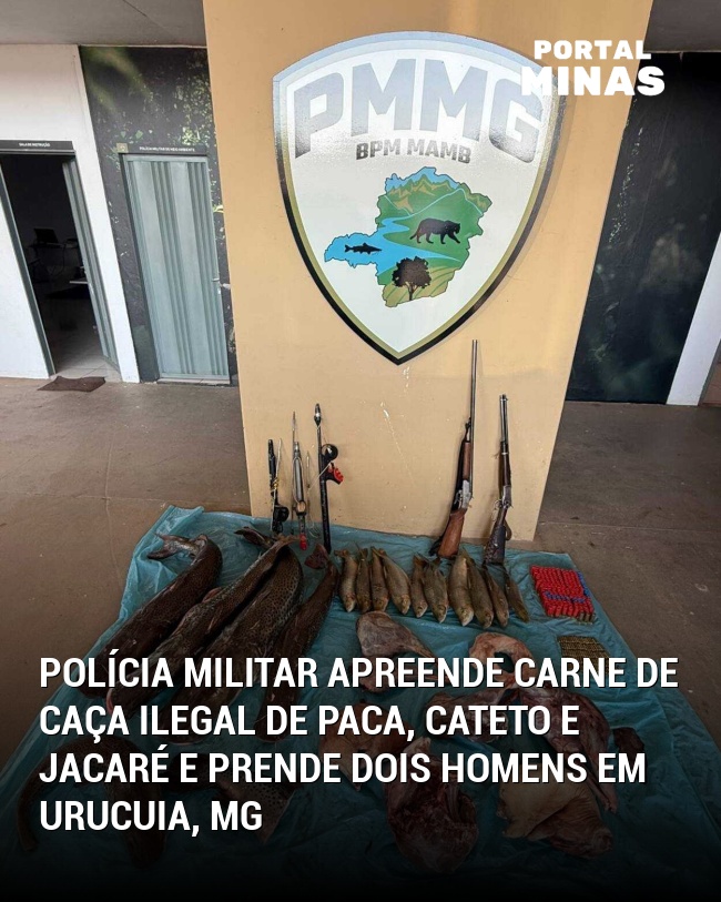 Polícia Militar apreende carne de caça ilegal de paca, cateto e jacaré e prende dois homens em Urucuia, MG