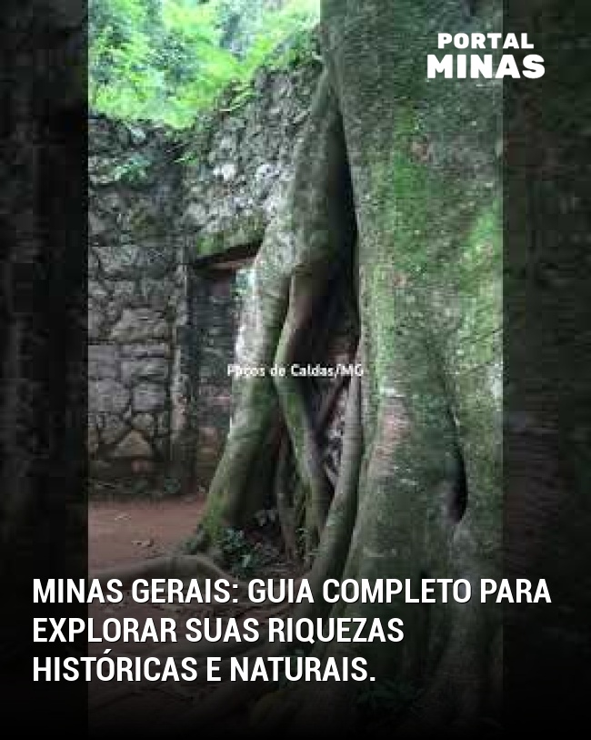 Minas Gerais: Guia completo para explorar suas riquezas históricas e naturais.
