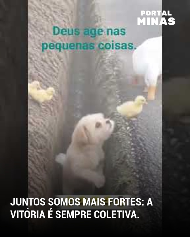 Juntos somos mais fortes: a vitória é sempre coletiva.