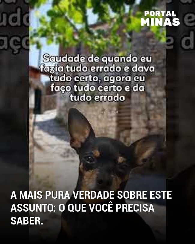 A mais pura verdade sobre este assunto: o que você precisa saber.