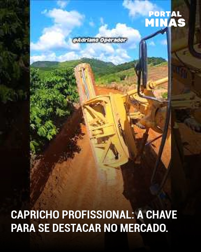 Capricho profissional: a chave para se destacar no mercado.
