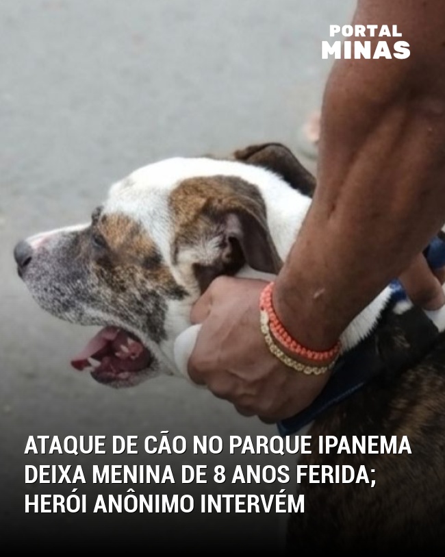 Ataque de Cão no Parque Ipanema Deixa Menina de 8 Anos Ferida; Herói Anônimo Intervém