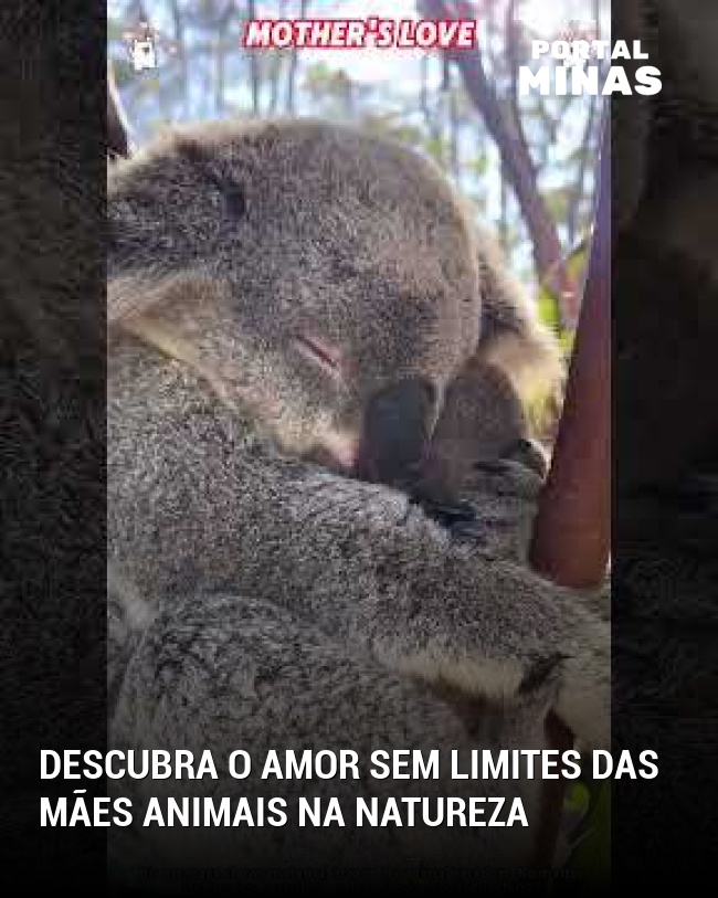 Descubra o amor sem limites das mães animais na natureza