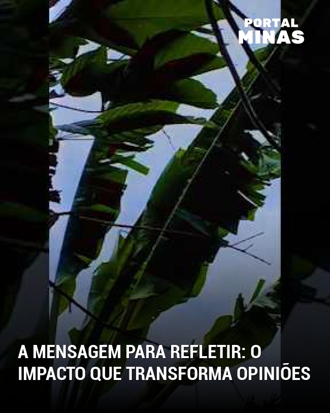 A mensagem para refletir: o impacto que transforma opiniões
